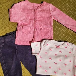 Carter's Baby Girl Clothes (9 Months)
